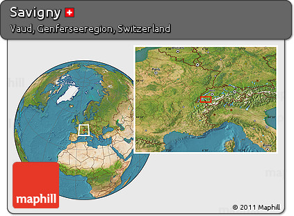 Satellite Location Map of Savigny