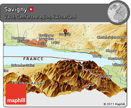 Physical Panoramic Map of Savigny