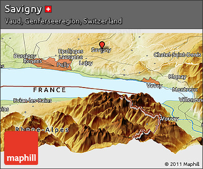 Physical Panoramic Map of Savigny