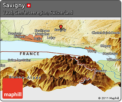 Physical Panoramic Map of Savigny