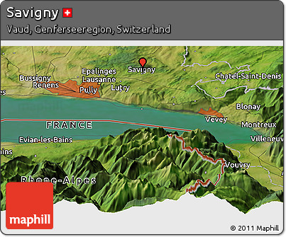 Satellite Panoramic Map of Savigny