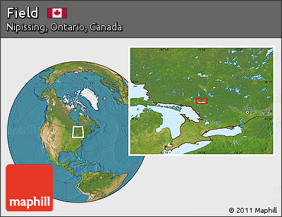 Satellite Location Map of Field