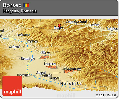 Physical Panoramic Map of Borsec