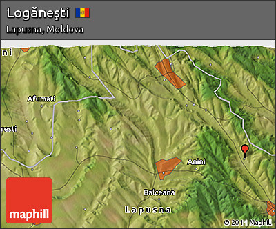 Satellite 3D Map of Logăneşti