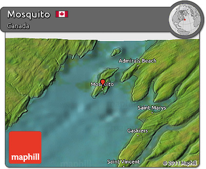 Satellite 3D Map of Mosquito