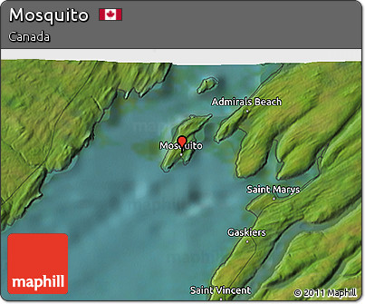 Satellite 3D Map of Mosquito