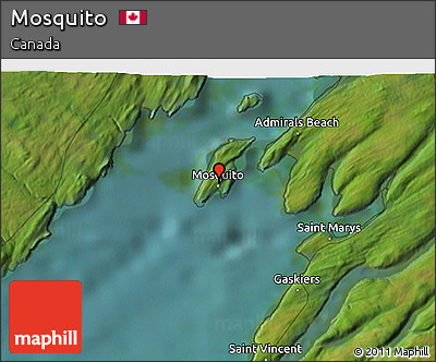 Satellite 3D Map of Mosquito