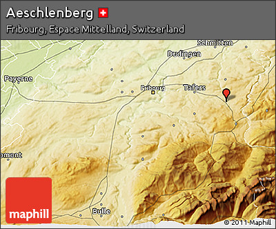 Physical 3D Map of Aeschlenberg