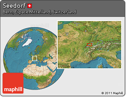 Satellite Location Map of Seedorf