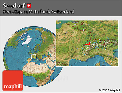 Satellite Location Map of Seedorf