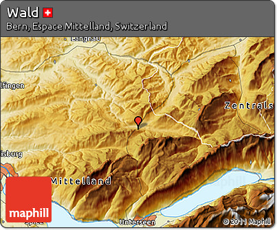 Physical 3D Map of Wald