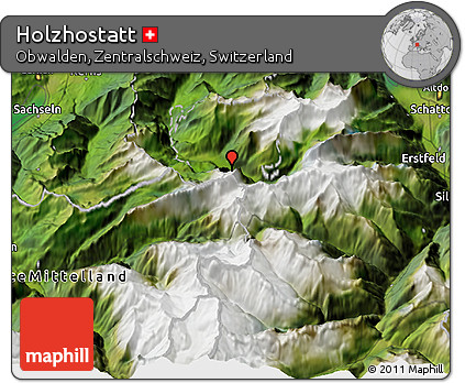 Satellite 3D Map of Holzhostatt