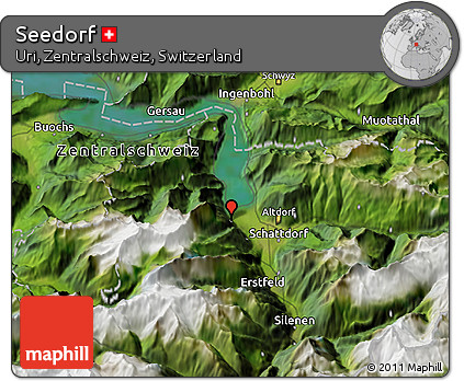 Satellite 3D Map of Seedorf