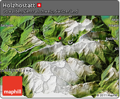 Satellite 3D Map of Holzhostatt