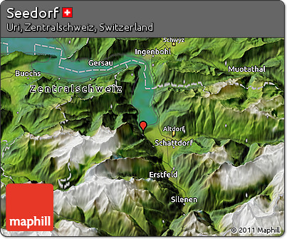 Satellite 3D Map of Seedorf