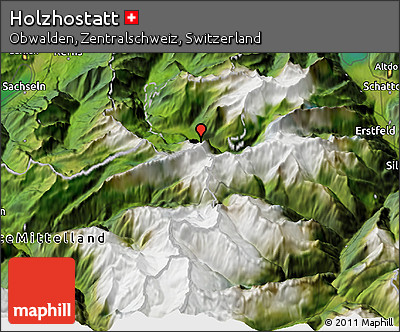 Satellite 3D Map of Holzhostatt