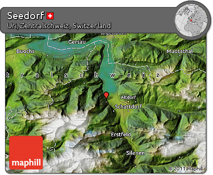 Satellite Map of Seedorf