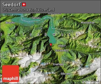 Satellite Map of Seedorf