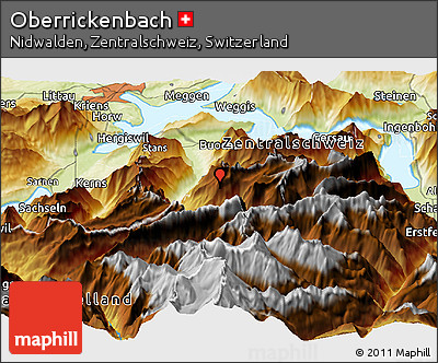Physical Panoramic Map of Oberrickenbach
