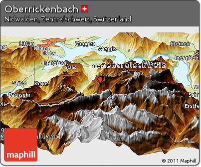 Physical Panoramic Map of Oberrickenbach