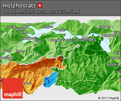Political Panoramic Map of Holzhostatt