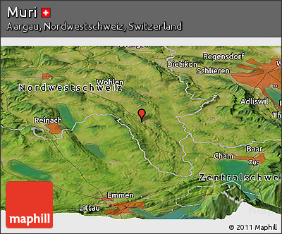 Satellite Panoramic Map of Muri