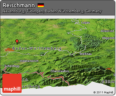 Satellite Panoramic Map of Reischmann