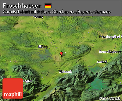Satellite 3D Map of Froschhausen