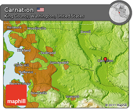 Physical 3D Map of Carnation