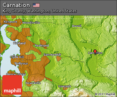 Physical 3D Map of Carnation