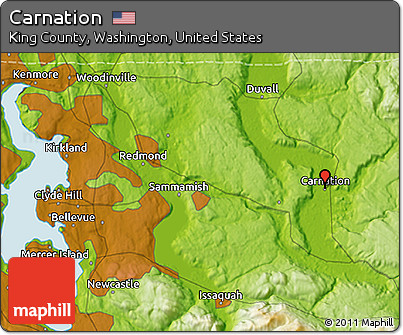 Physical 3D Map of Carnation