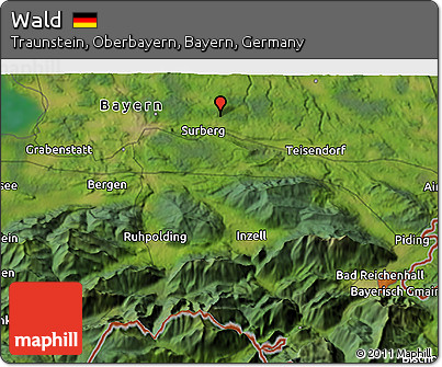 Satellite 3D Map of Wald