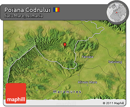 Satellite 3D Map of Poiana Codrului