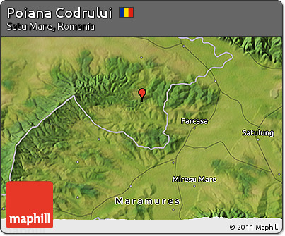 Satellite 3D Map of Poiana Codrului