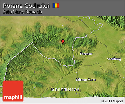 Satellite 3D Map of Poiana Codrului