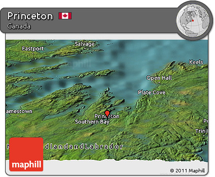 Satellite Panoramic Map of Princeton