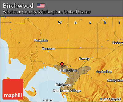 Political Map of Birchwood