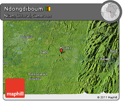 Satellite 3D Map of Ndongdiboum