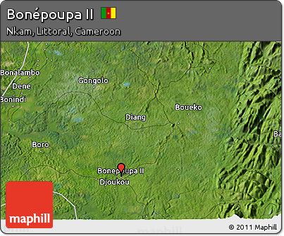 Satellite 3D Map of Bonépoupa II