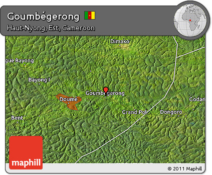Satellite 3D Map of Goumbégerong