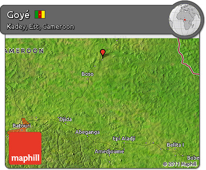 Satellite 3D Map of Goyé