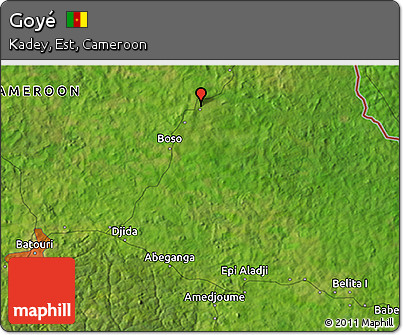 Satellite 3D Map of Goyé