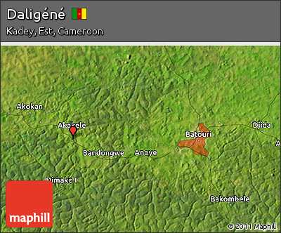 Satellite 3D Map of Daligéné