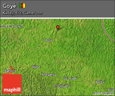 Satellite 3D Map of Goyé