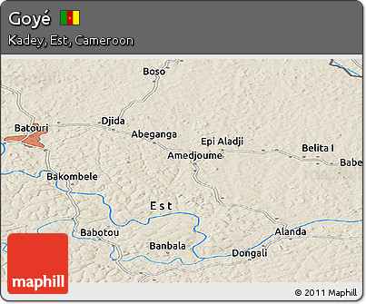 Shaded Relief Panoramic Map of Goyé
