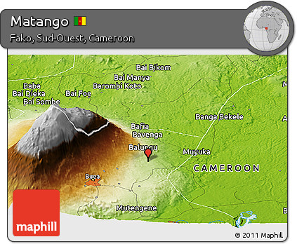 Physical Panoramic Map of Matango