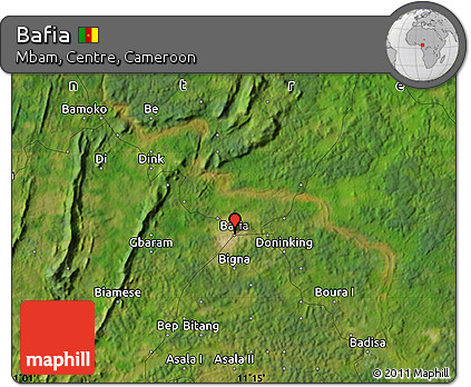 Satellite Map of Bafia