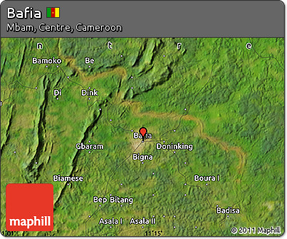 Satellite Map of Bafia