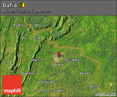 Satellite Map of Bafia