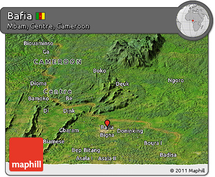Satellite Panoramic Map of Bafia